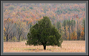 dscn0051