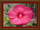 flower1