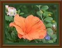 flower_2