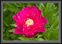crw_4548