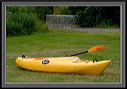 crw_4556