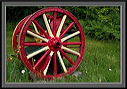 crw_4561
