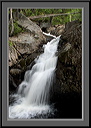 crw_4568