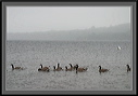 crw_4584