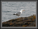 dscn0007-1