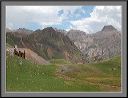 green_acres