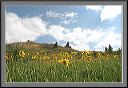 rocky_mountain_summer_day
