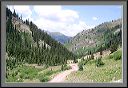 wandering_trail