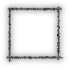 FishFrame1